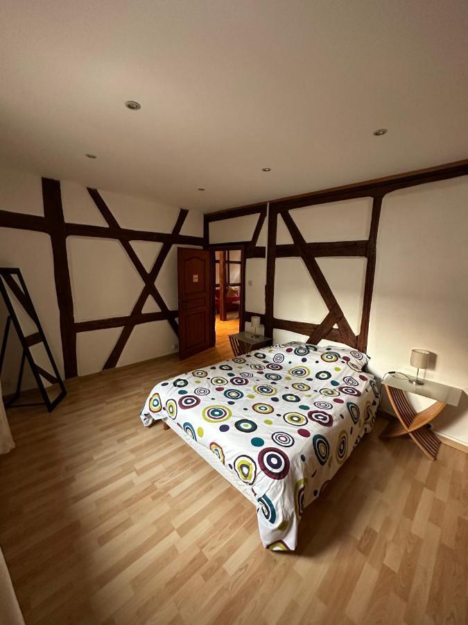 Апартаменты La Grenouille Тюркхайм Экстерьер фото